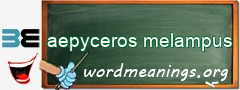 WordMeaning blackboard for aepyceros melampus